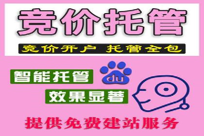 SEM投放策略：成功案例解析